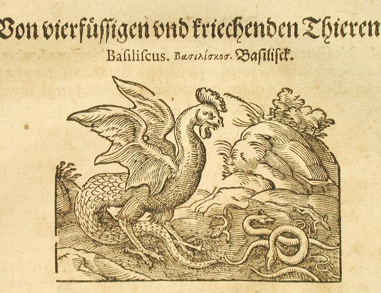 Bazilišek z upraveného německého překladu Naturalis historia od Johanna Heidena ilustrovaného Jostou Ammanem (1584)