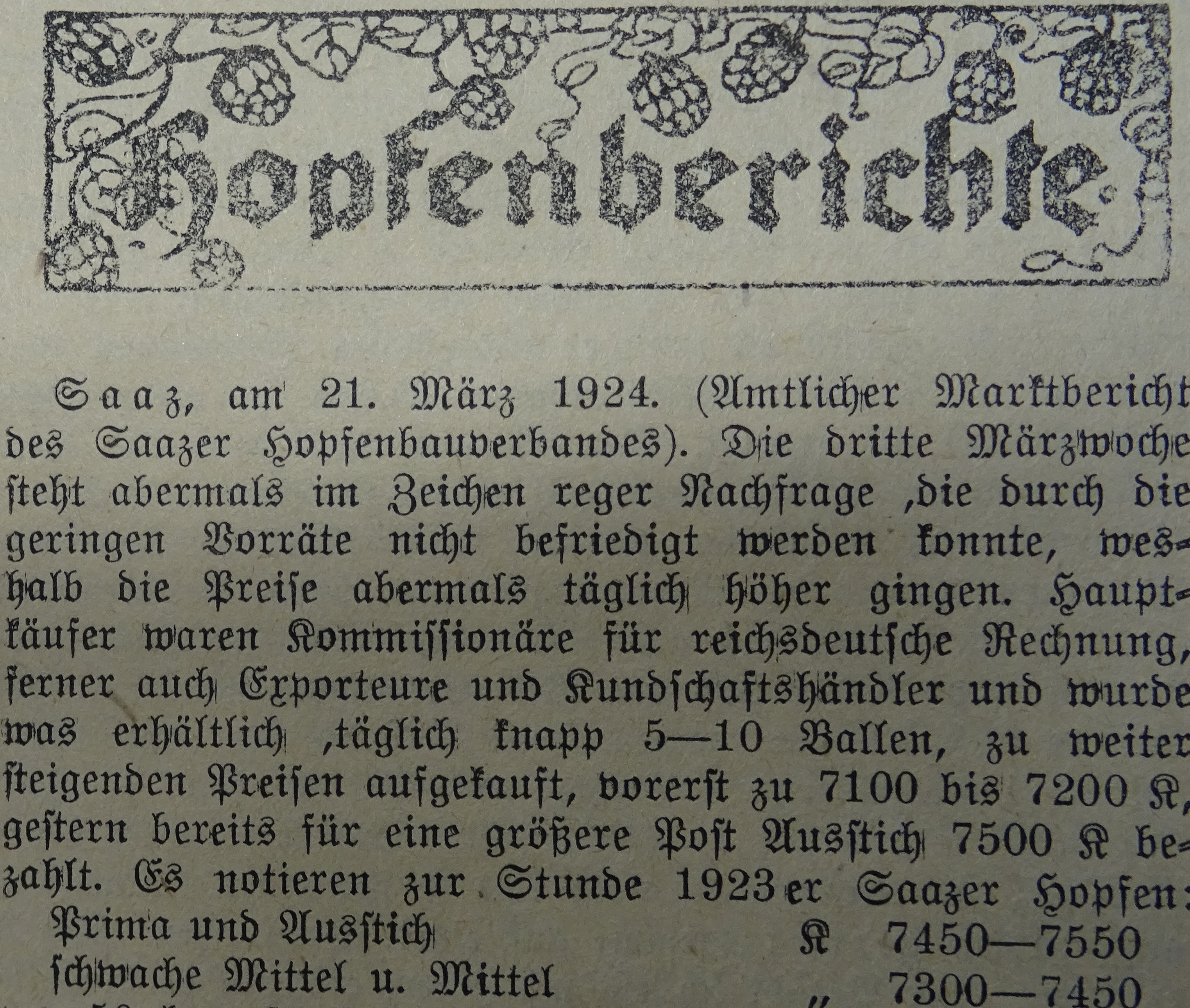 Pravidelné zprávy o cenách chmele z novin Saazer Hopfen- und Brauer- Zeitung - i v březnu 1924 stoupaly