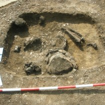 Ženský hrob z pozdní doby kamenné objevený při výzkumu žateckého muzea v pískovně u Chudeřína. Foto: P. Holodňák