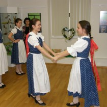 Taneční vystoupení starších žákyň ze ZUŠ, kteří pracují pod vedením paní učitelky Ivany Fábryové.