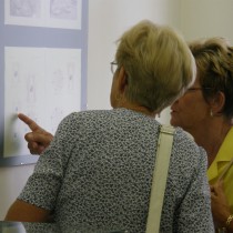 Návštěvnice si prohlížejí část katalogu růžového porcelánu