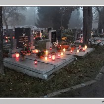 Komentovaná procházka po městském hřbitově 2. listopadu (foto Josef Bláha)