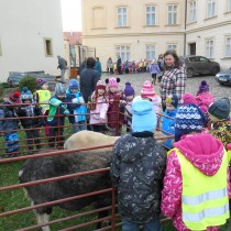 Základní organizace ČSCH ze Žatce připravila ukázku zvířectva. 