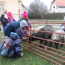 Děti krmily ovečky v zahradě Křížovy vily. 