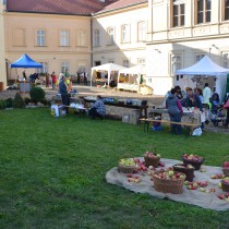 Pohled na zahradu Křížovy vily při Ovocnářské výstavě III.