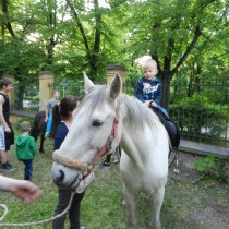 Na zahradě muzea se děti mohly povozit na konících. 