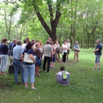 Další zastávka byla v městském parku, kde Jaroslav Holštajn seznámil přítomné se zajímavými stromy. 